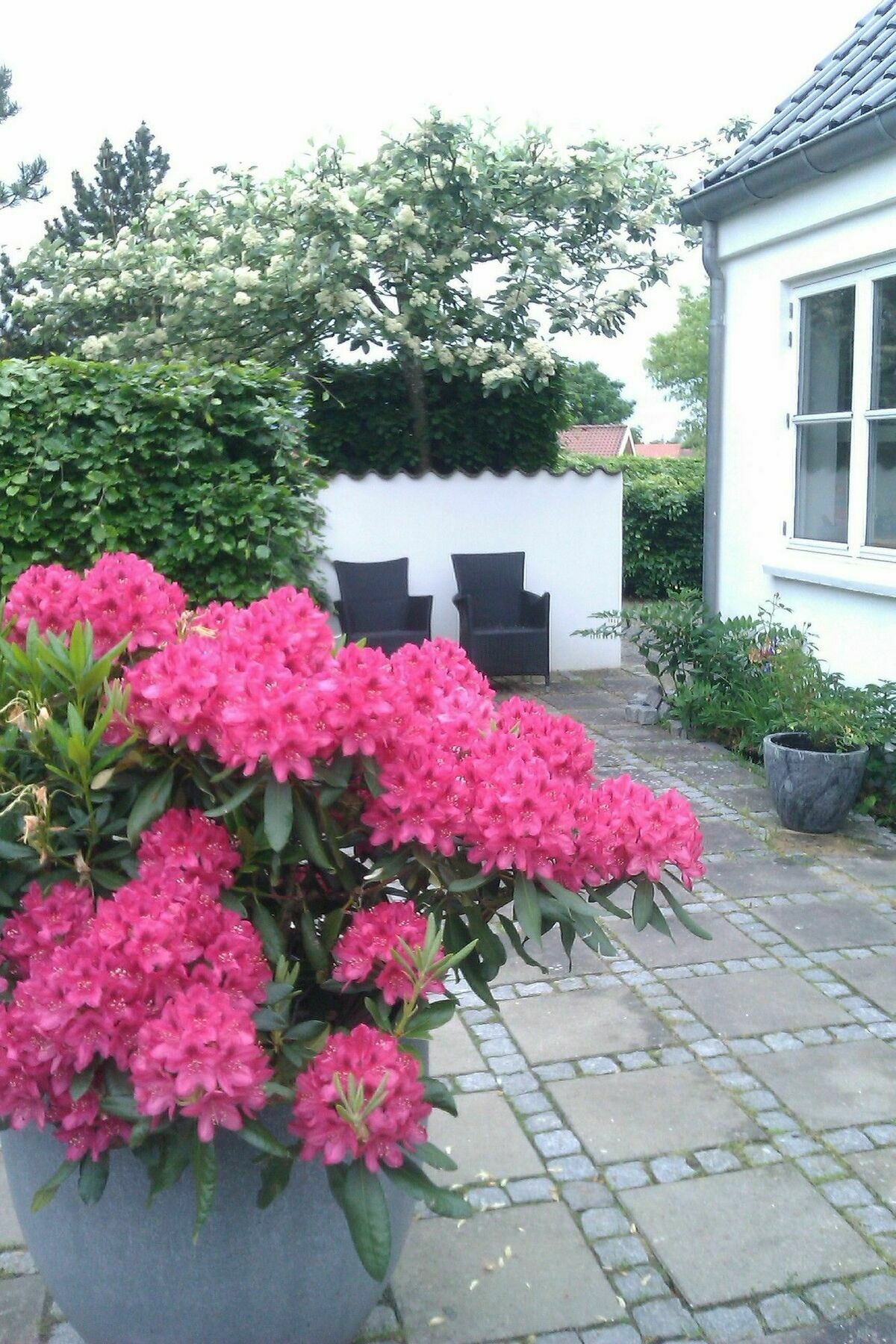 Helts B&B - Helts Guesthouse Herning Ngoại thất bức ảnh